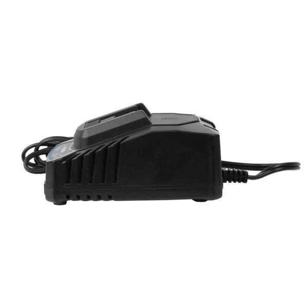 C20-2-2 Cargador de batería C20-2 HYUNDAI de LI-ION 20V 2A
